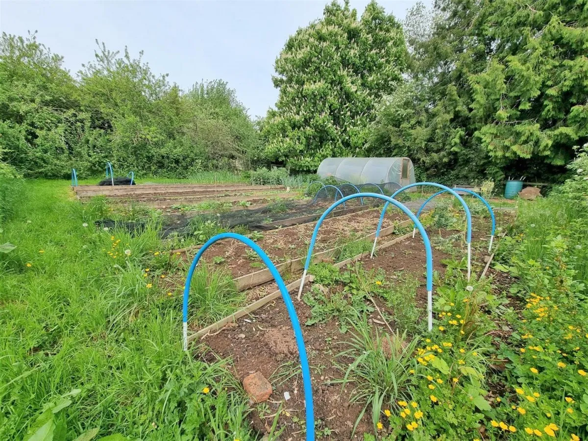 Ford House Road, Newent, GL18, photo 16