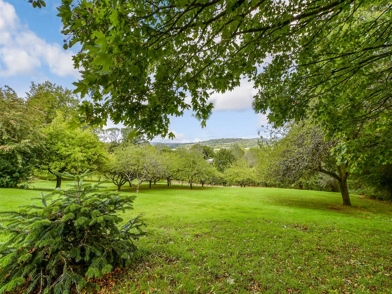 Stonehurst Lane, Five Ashes, TN20, photo 25