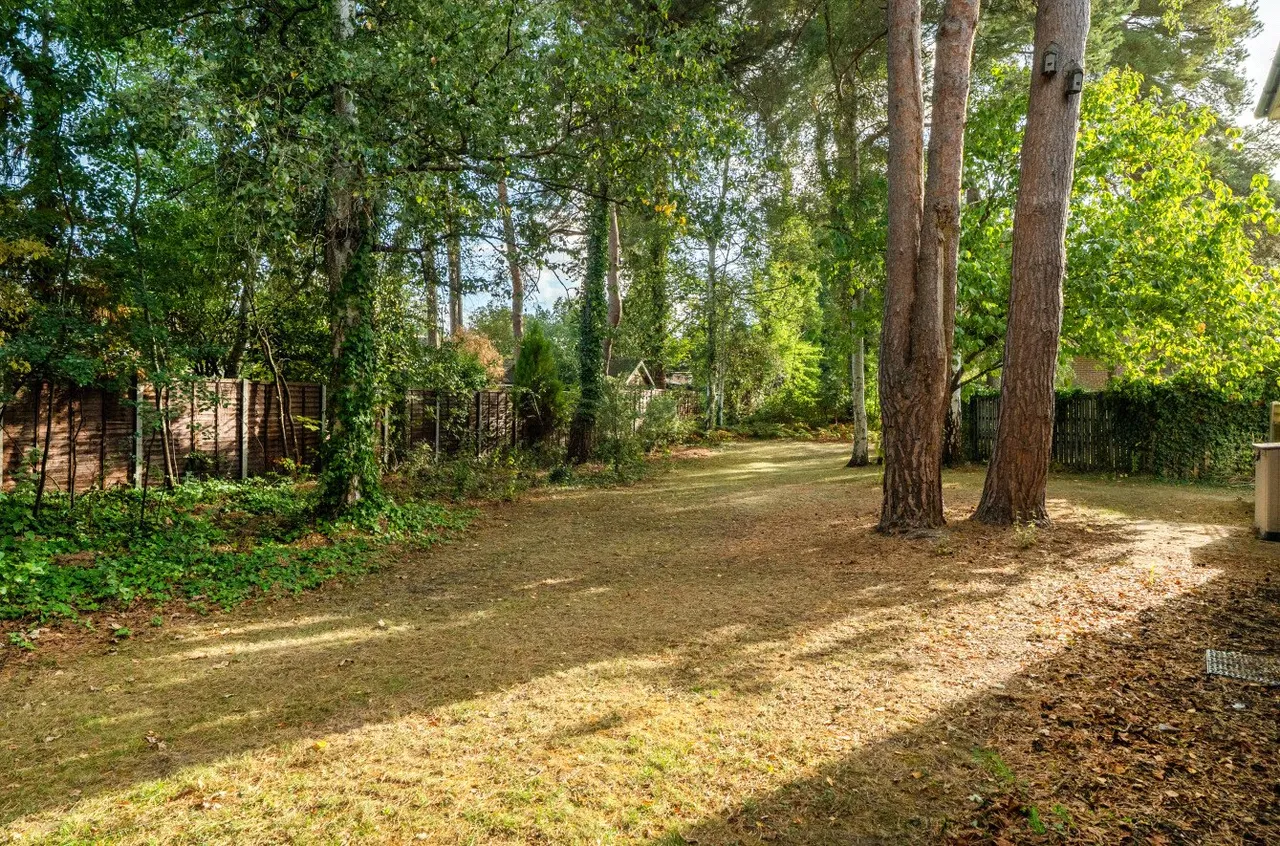 Arnett Avenue, Finchampstead, RG40, photo 12