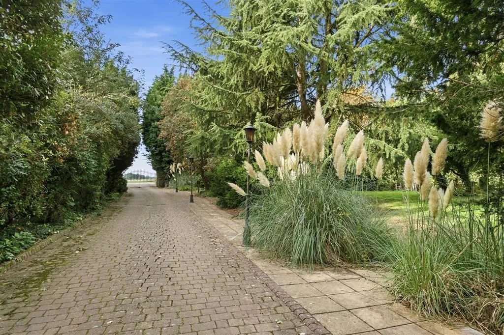 Black Drove, Thorney, PE6, photo 5