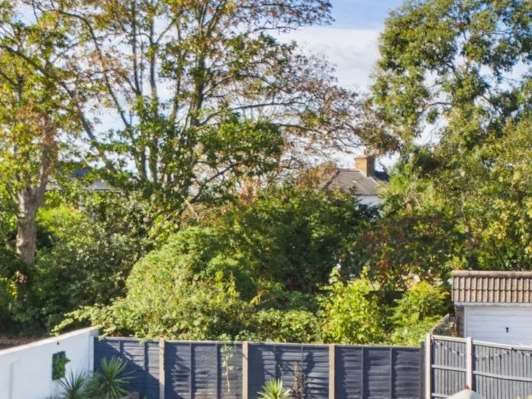 Ashford, Surrey, photo 9