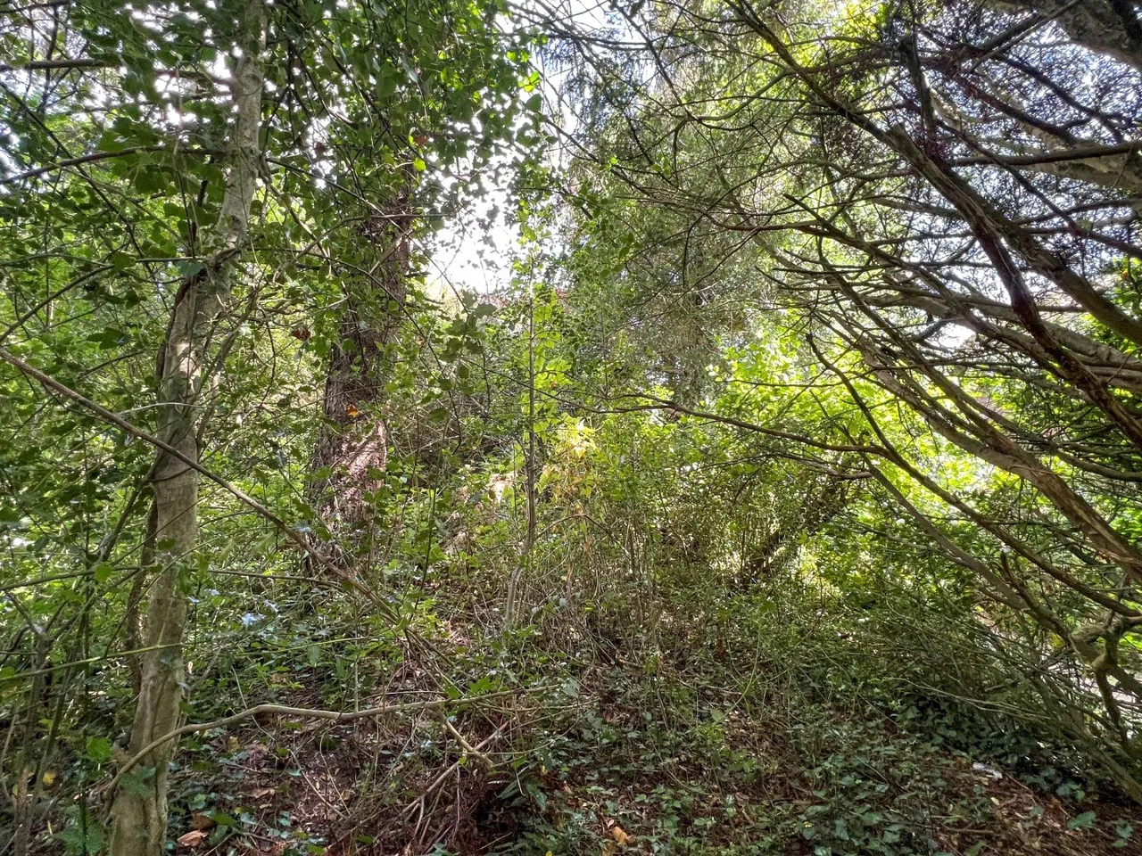 Caldbec Hill, Battle, TN33, photo 6