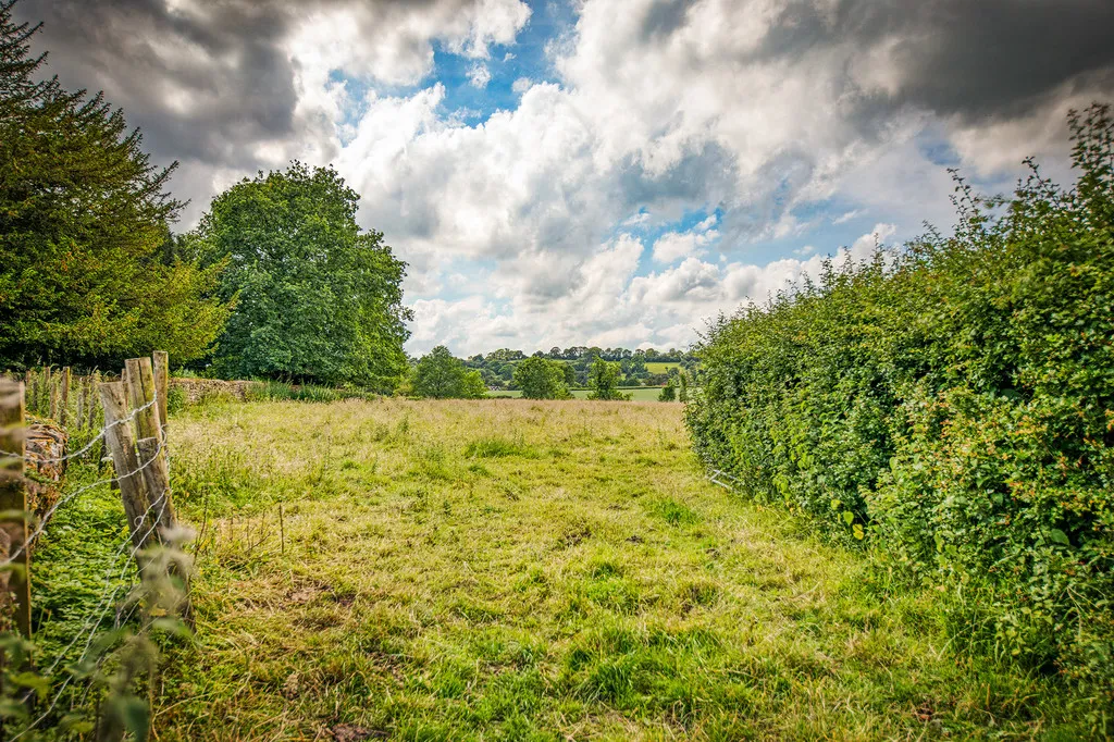 Church Lane, Mayfield, photo 18
