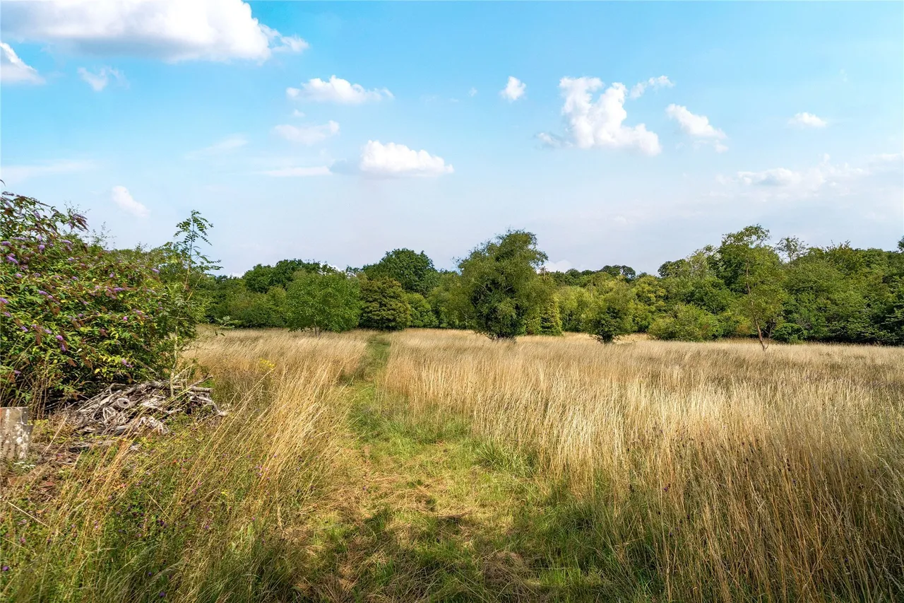 Sevenoaks Road, Pratts Bottom, Orpington, BR6, photo 23