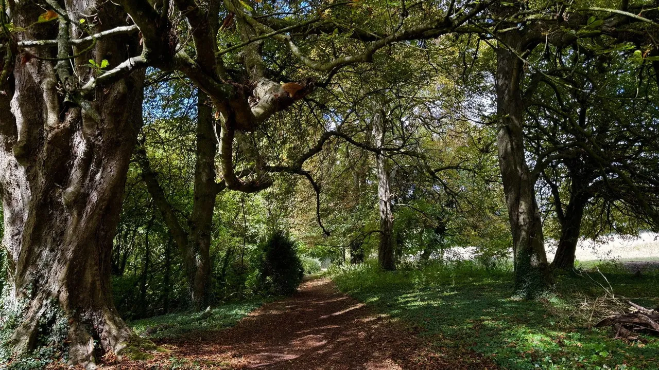 Redlynch Park, Redlynch, BA10, photo 58