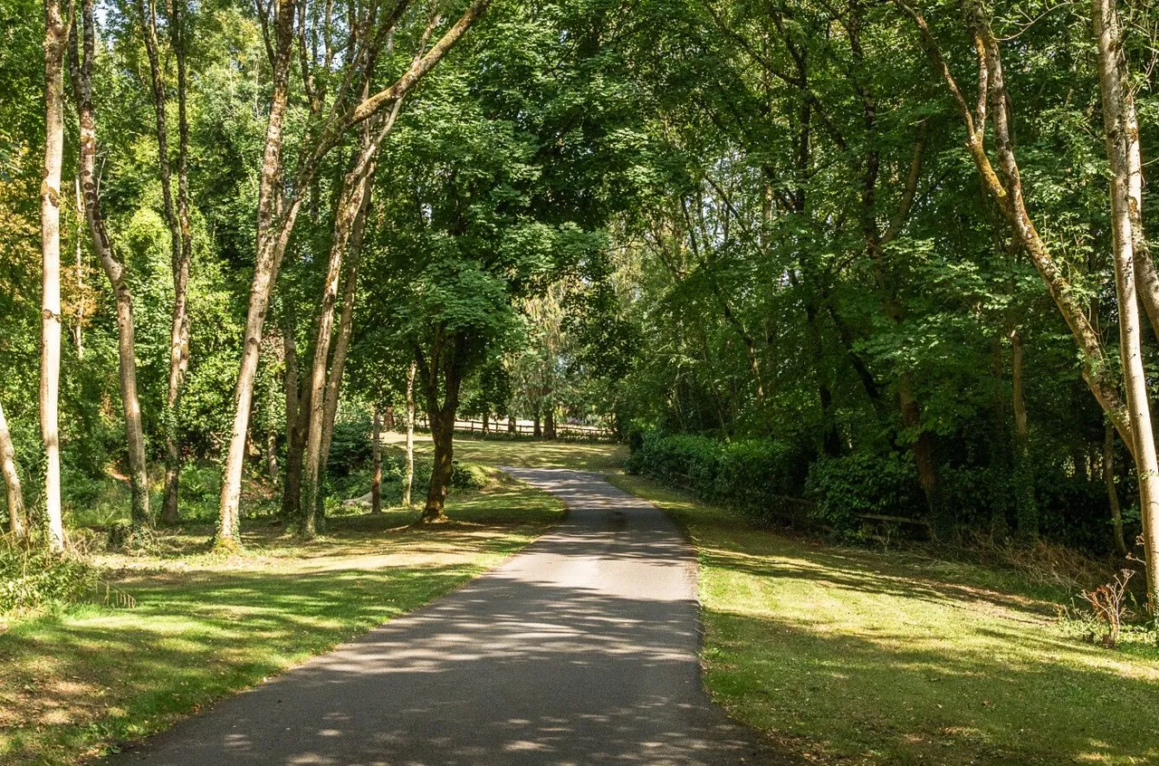 Redlynch Park, Redlynch, BA10, photo 11