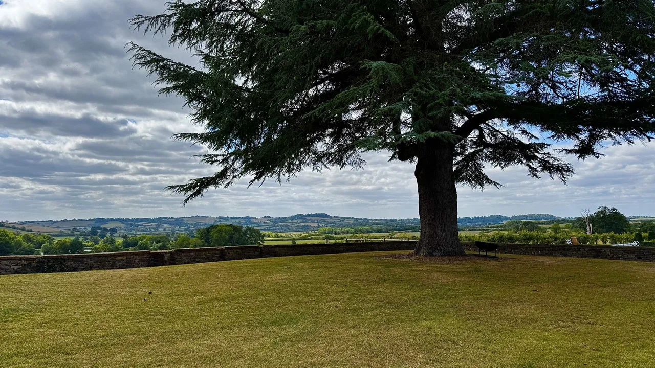 Redlynch Park, Redlynch, BA10, photo 27