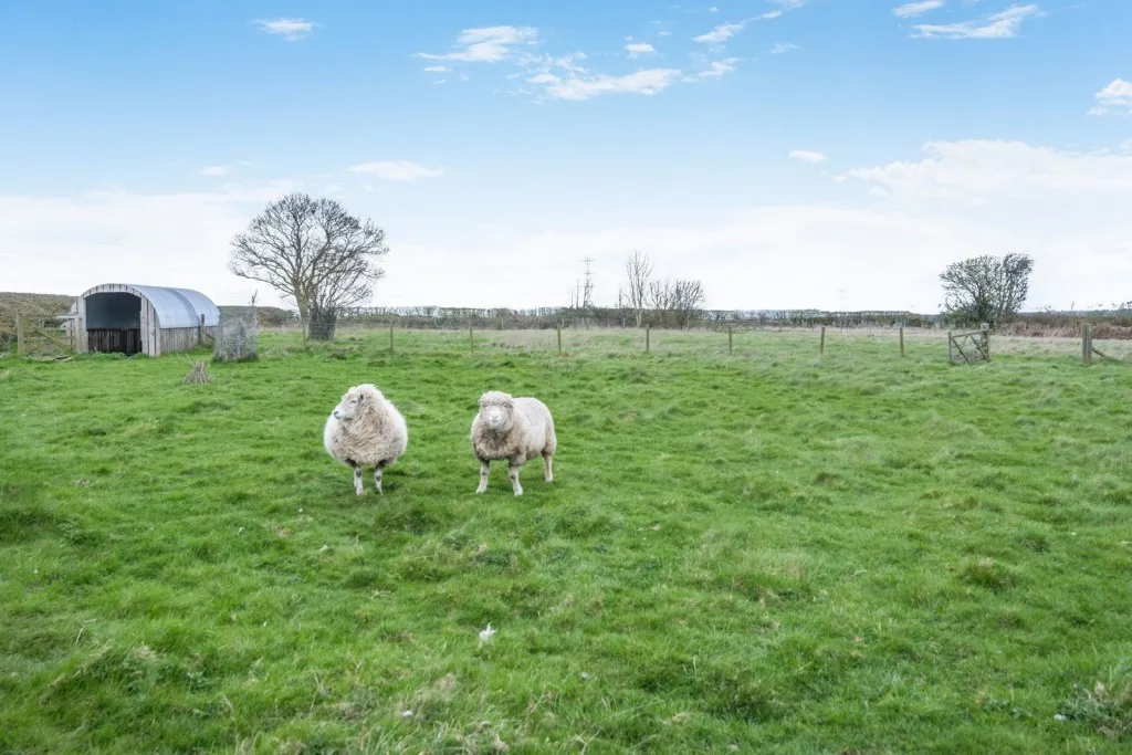Long Marston ~ Wetherby Road, YO26, photo 41