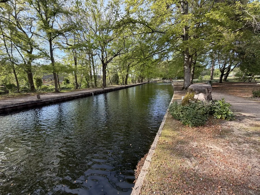 Mytchett Heath, Mytchett, photo 4