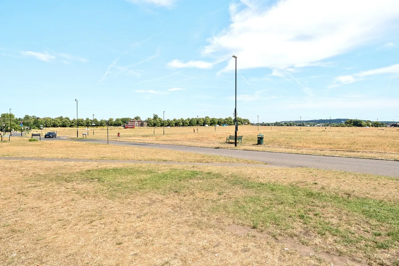 Dartmouth Grove, SE10, photo 10