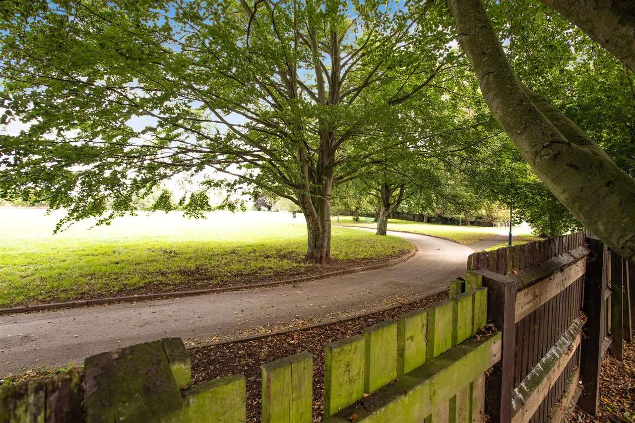 Moss Street, Derby, photo 6