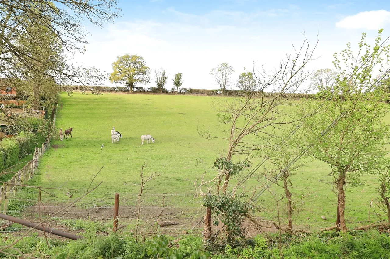 Damson Way, Bewdley, DY12, photo 17