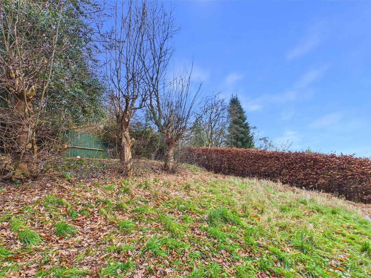 Bates Lane, Helsby, Frodsham, Cheshire, WA6 9LJ, photo 30