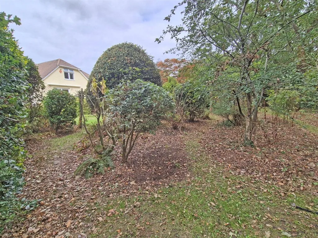 New Milton, Hampshire, photo 20