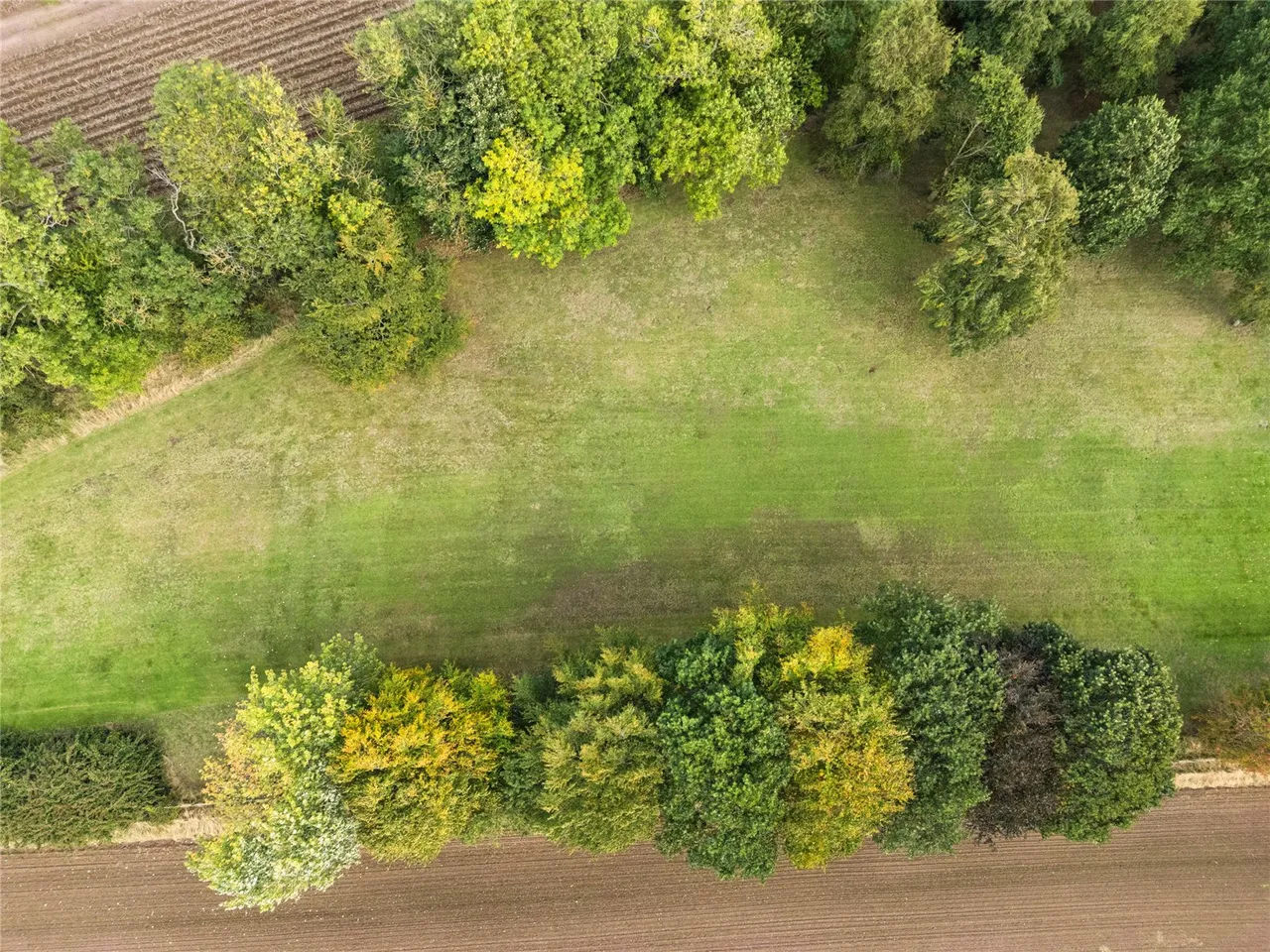 Development Plot At Knowehead, Bendochy, PH13, photo 6