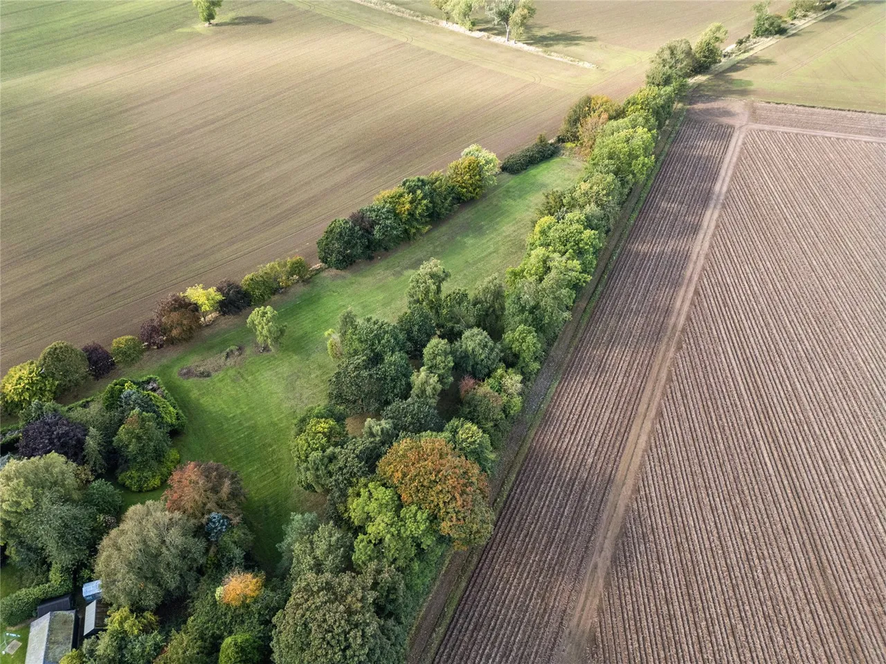 Development Plot At Knowehead, Bendochy, PH13, photo 4