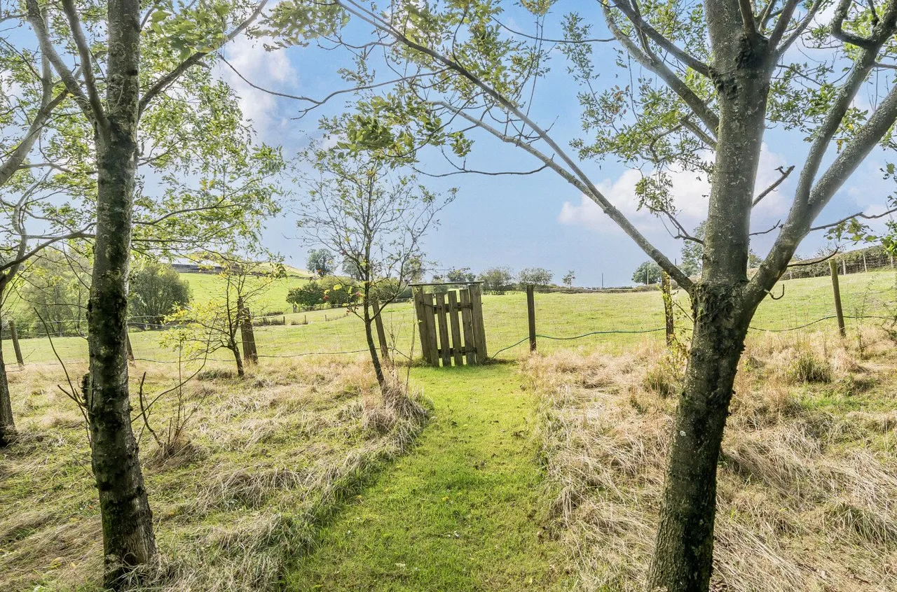 Llanfihangel, Llanfyllin, photo 27