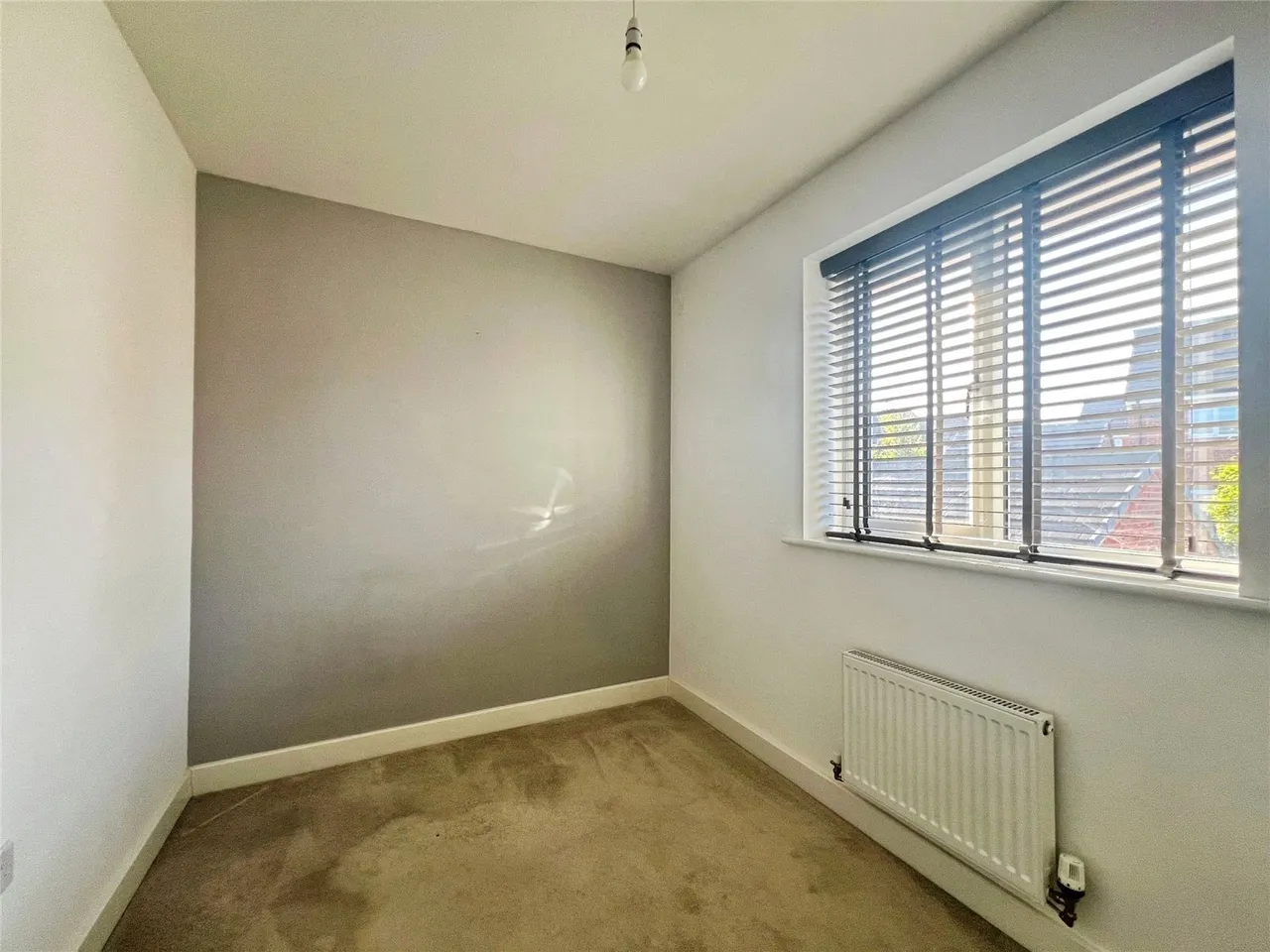 Jackson Avenue, Bishops Tachbrook, CV33, photo 13