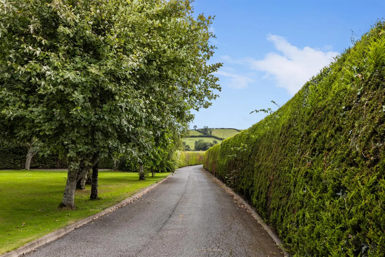 Old Belfast Road, Ballynahinch, BT24, photo 42