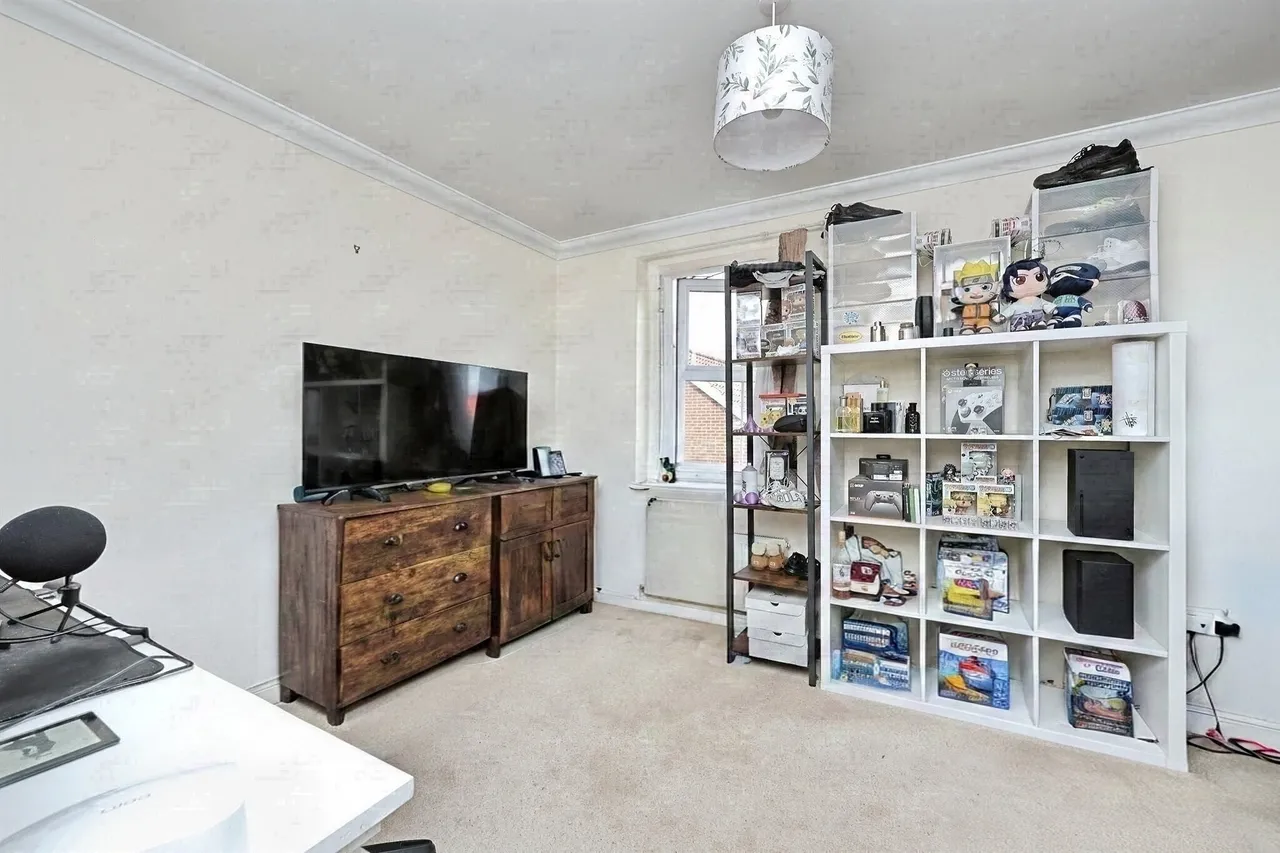 Phillipa Flowerday Plain, Norwich, photo 10