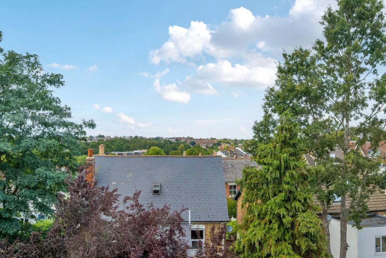 Vermont Road, Crystal Palace, London, SE19, photo 12