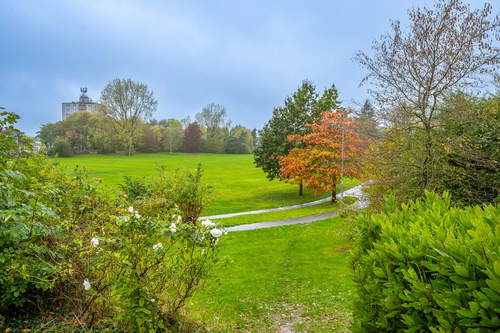 Ketley Park Road, Ketley, TF1, photo 17