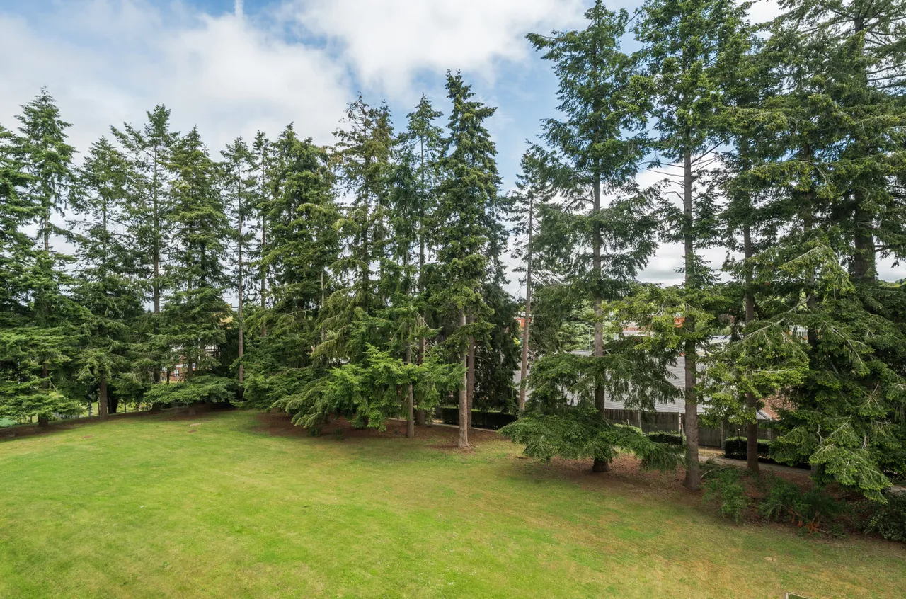 Franklin Court, Wormley, GU8, photo 4