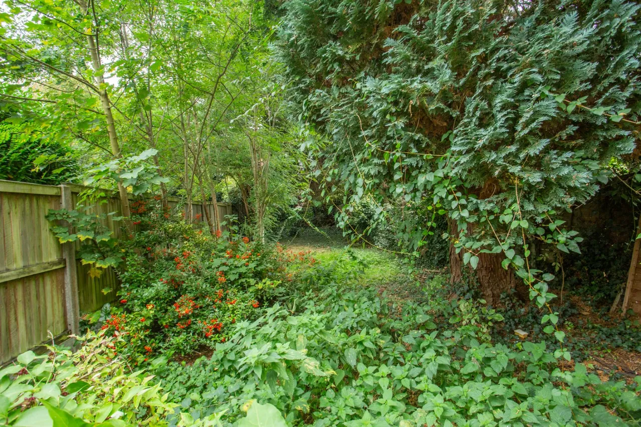 Whitstable Road, Canterbury, CT2, photo 14