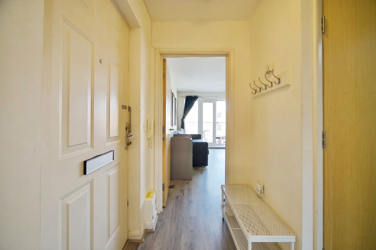 Glaucus Street, London, E3, photo 13