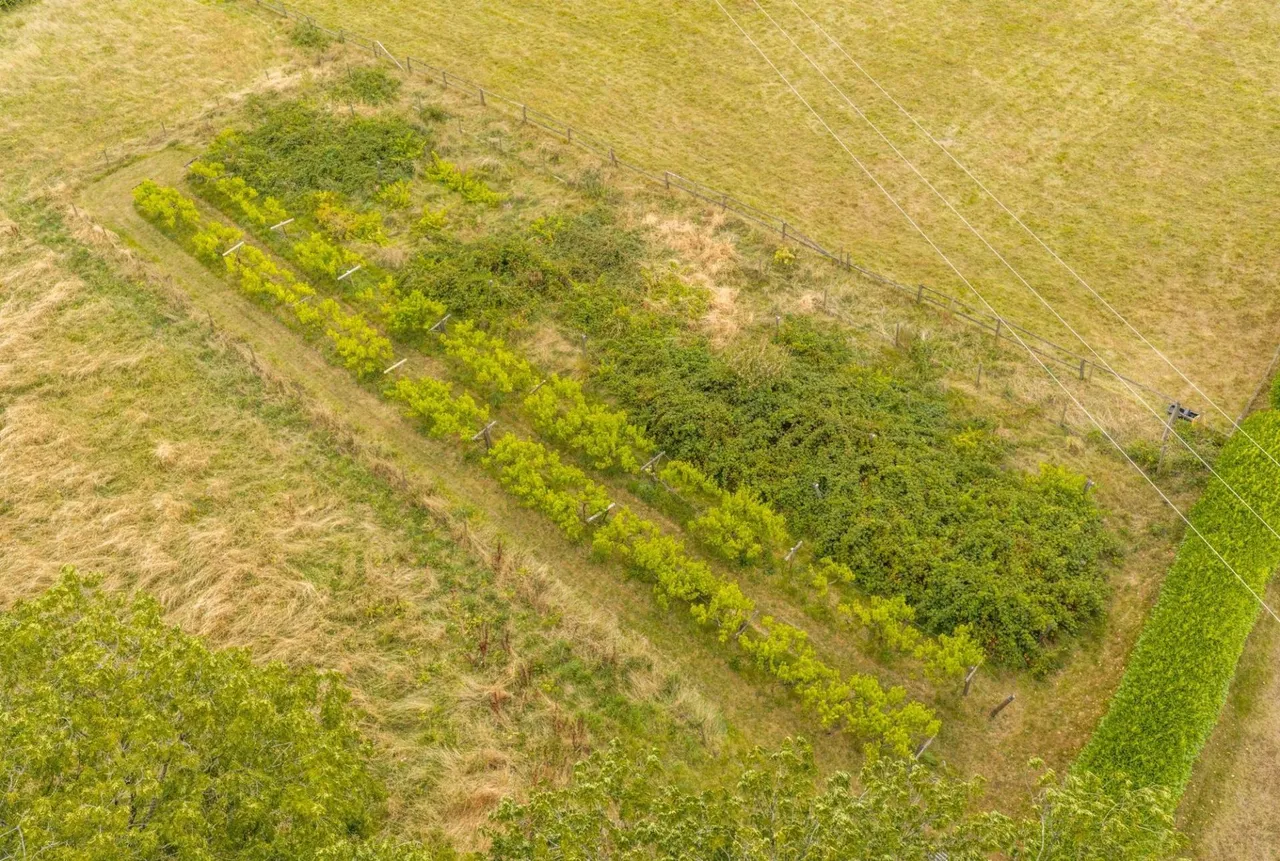 Llanboidy, Whitland, SA34, photo 75