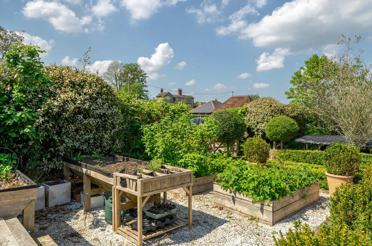 Hazeley Road, Twyford, SO21, photo 22