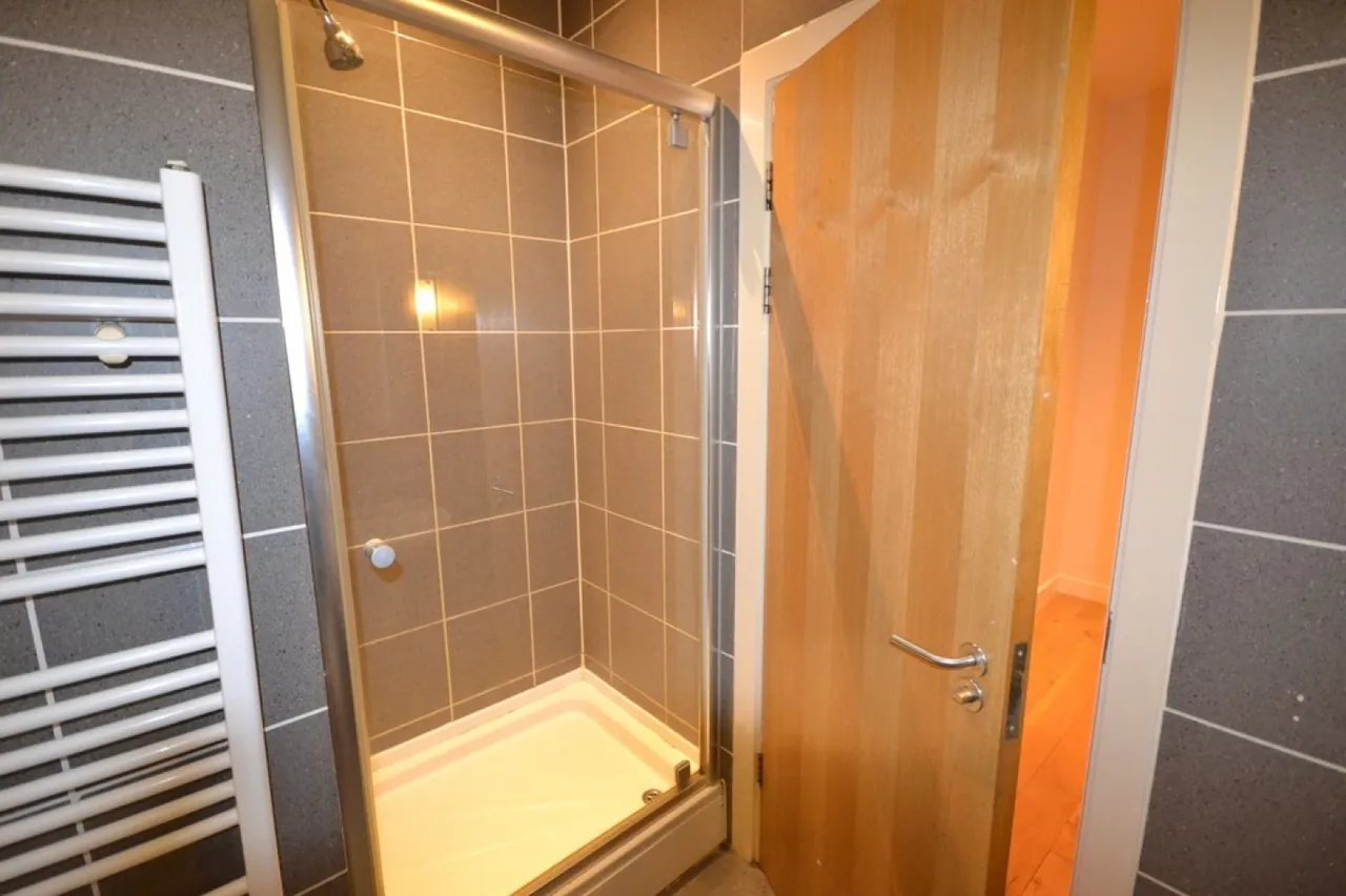 Penthouse, Metropolitan Apartments, LE1, photo 9