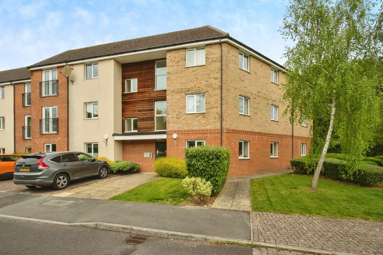 Skippetts Gardens, Basingstoke, RG21, photo 17