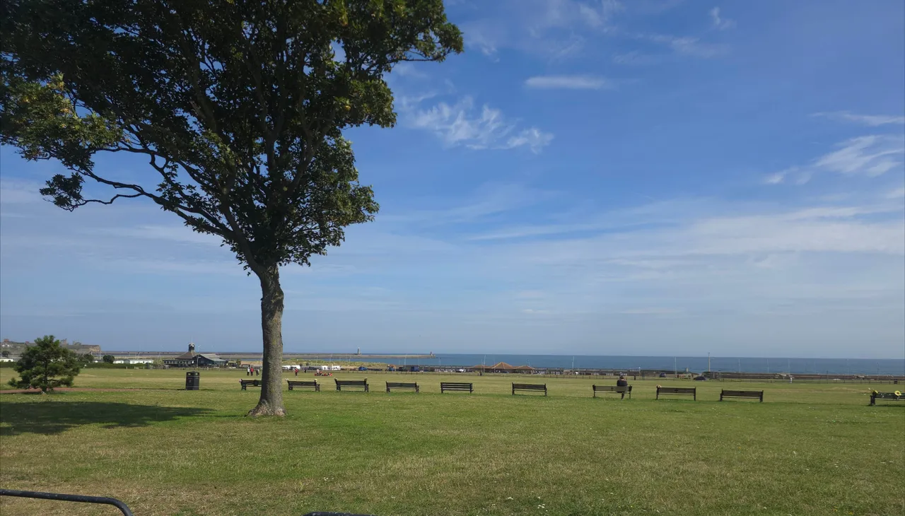 Sea Winnings Way, South Shields, photo 18