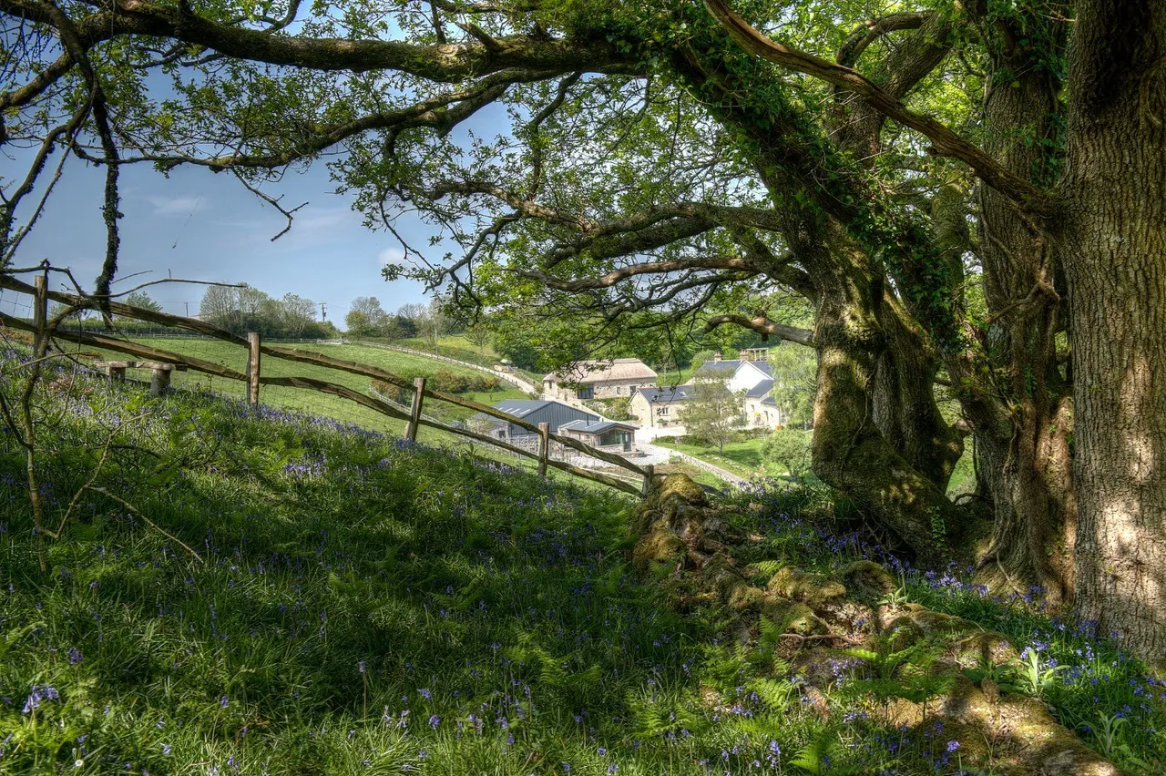 Hennock, Bovey Tracey, TQ13, photo 3