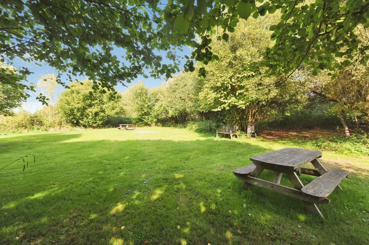 Prince Albert Terrace, Robertsbridge, TN32, photo 21