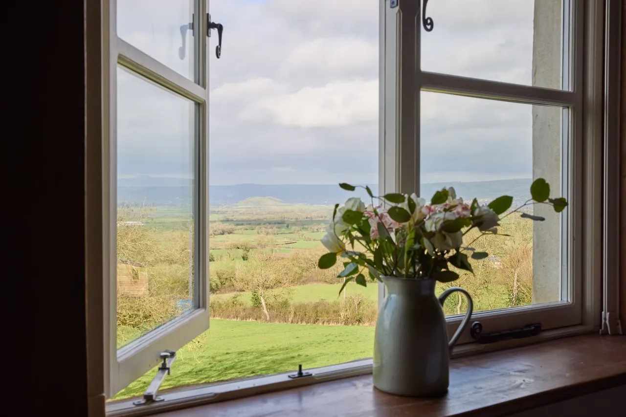 Bagley, Wedmore, BS28, photo 22
