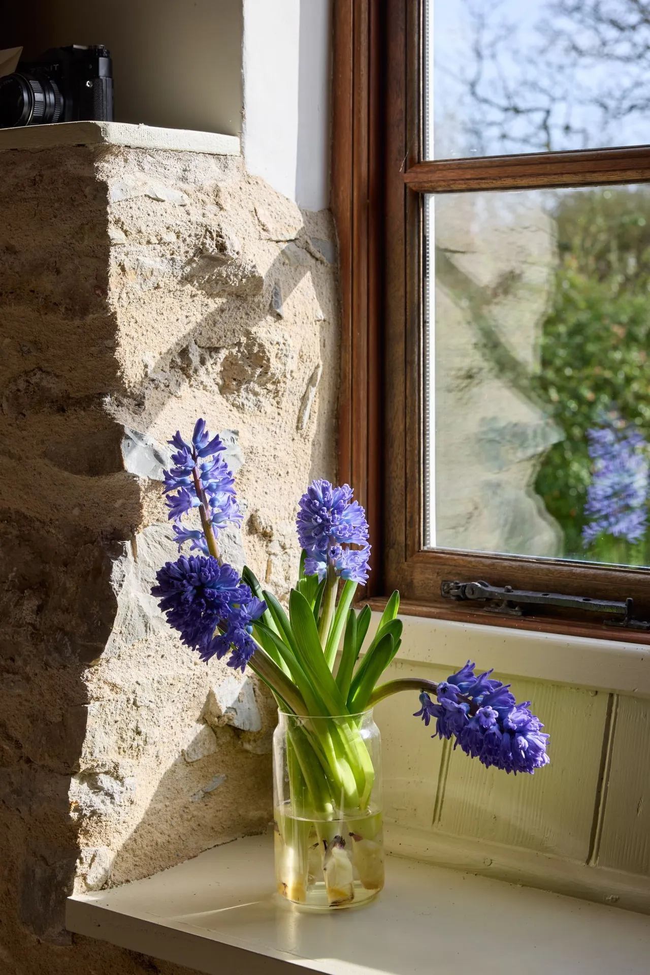Bagley, Wedmore, BS28, photo 28