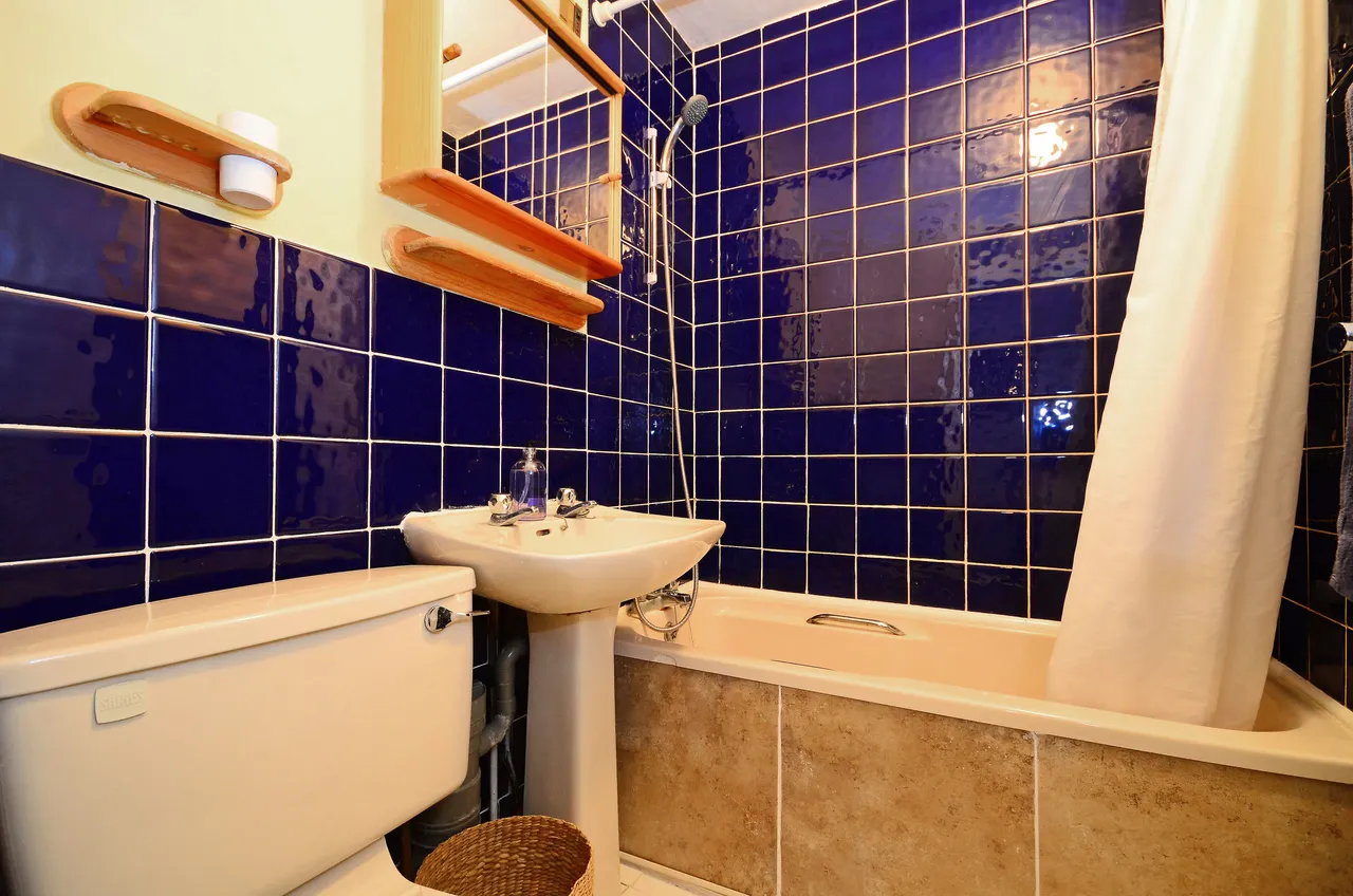16b Tregothnan Road, London, photo 7