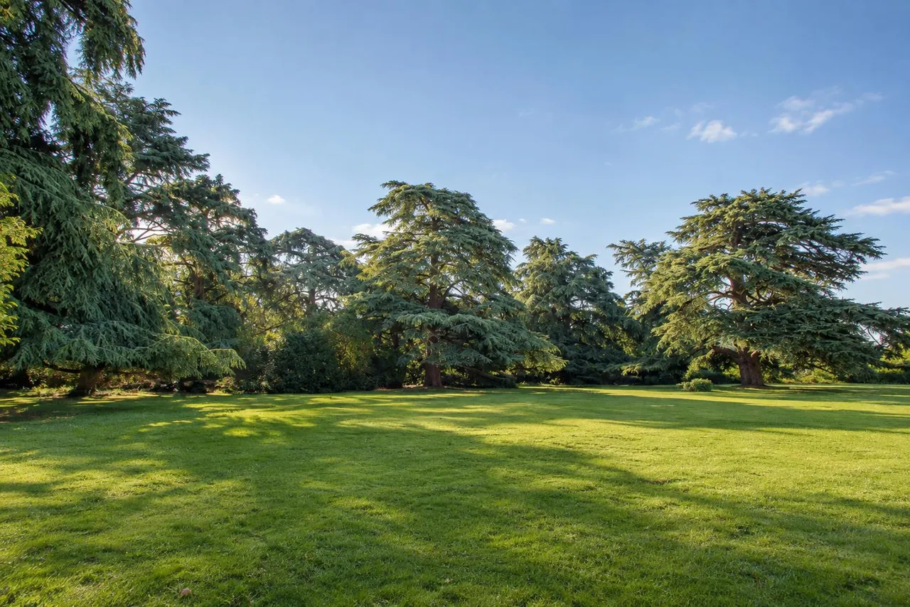Longbourn, Windsor, SL4, photo 14