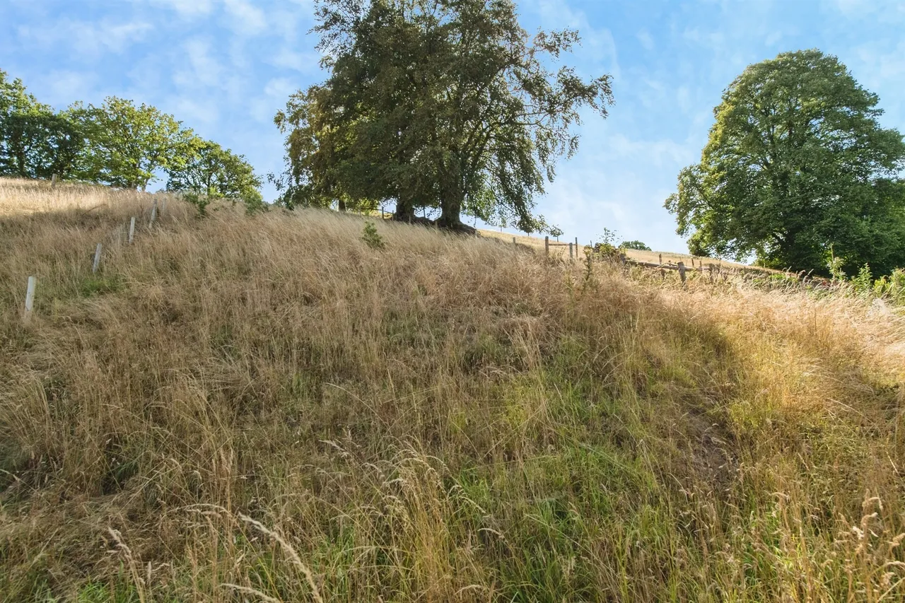 Elizabeth Penton Way, Bampton, EX16, photo 13