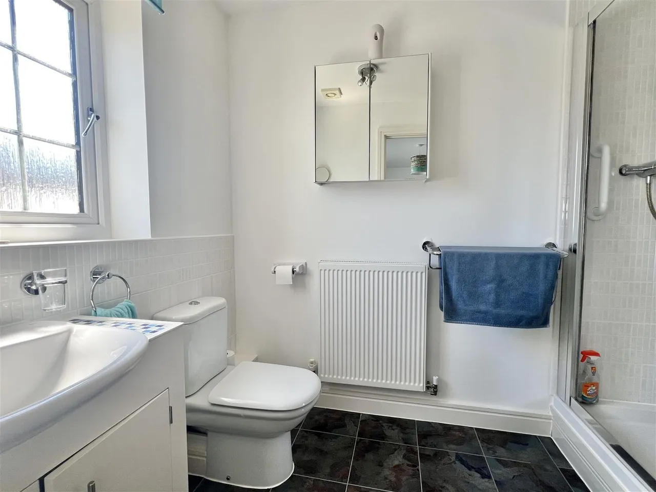 Pagoda Drive, Duporth, photo 17