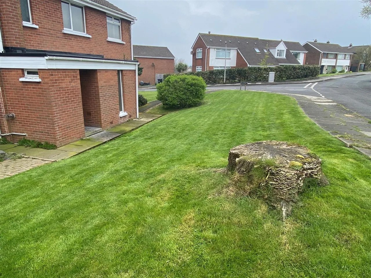 Onslow Avenue, Bangor, BT19, photo 12