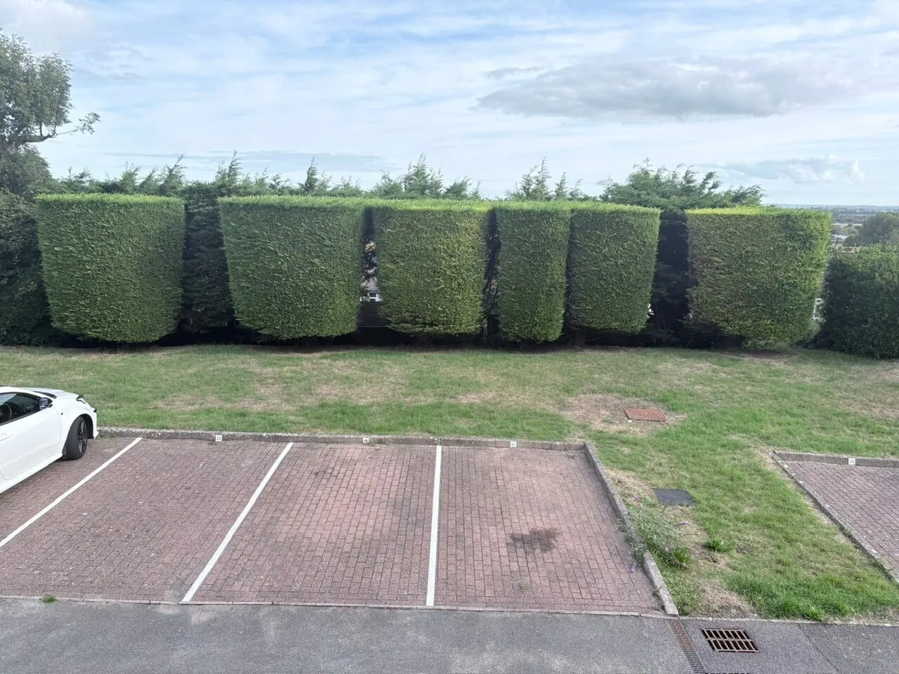Carew Road, EASTBOURNE, photo 12