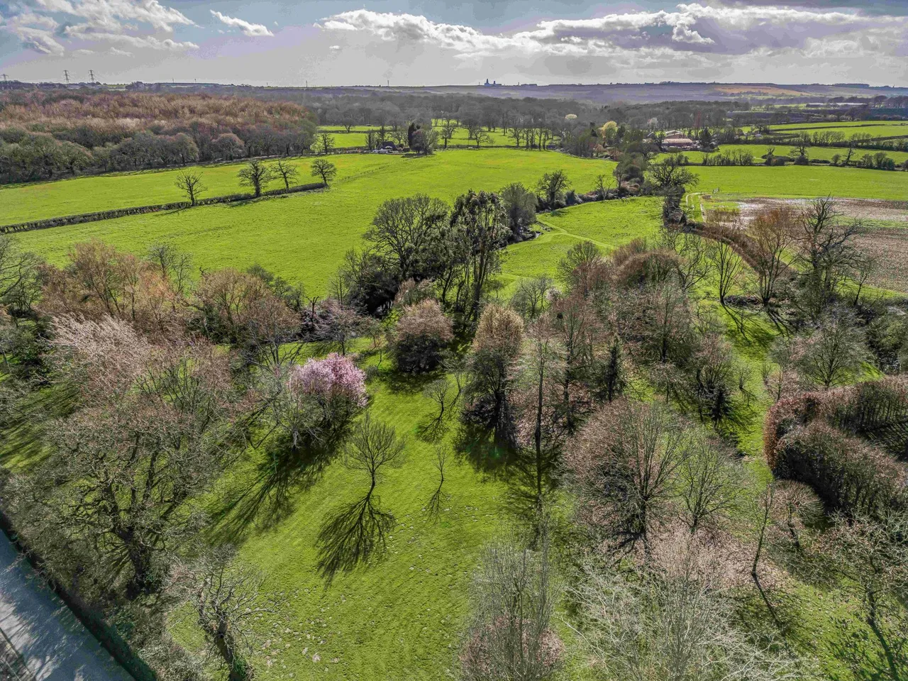 Denmead, Hampshire, photo 44