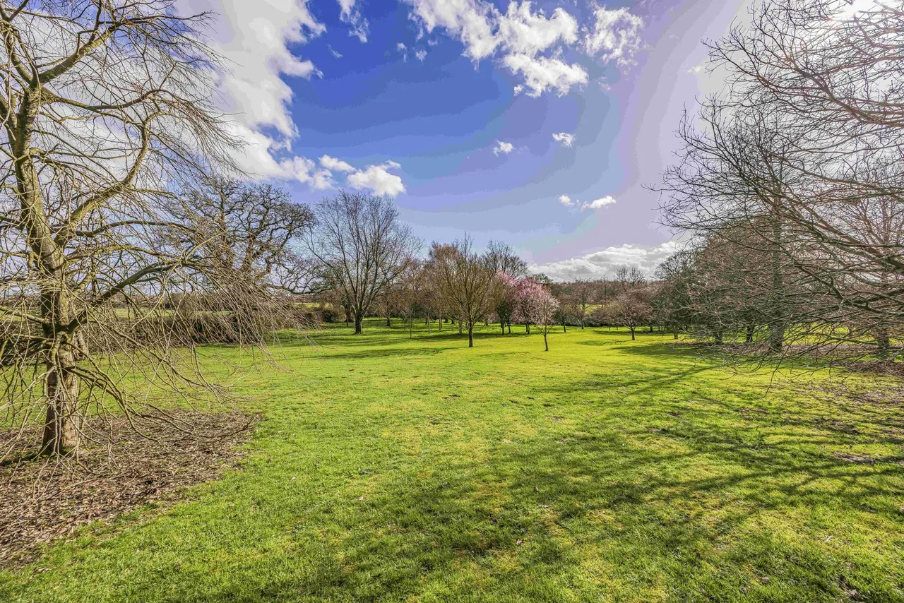 Denmead, Hampshire, photo 43