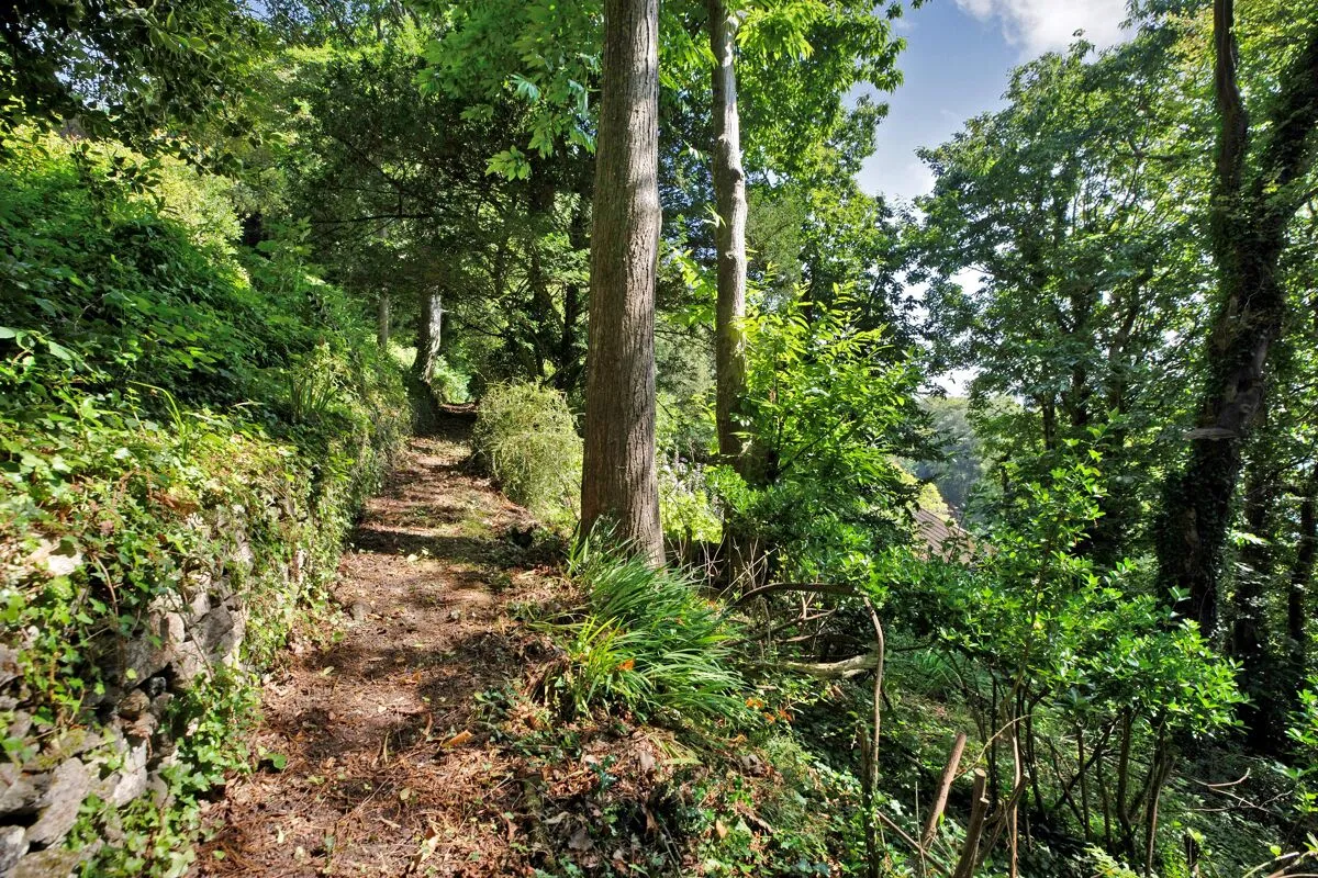 De Courcy Road, Salcombe, TQ8, photo 15