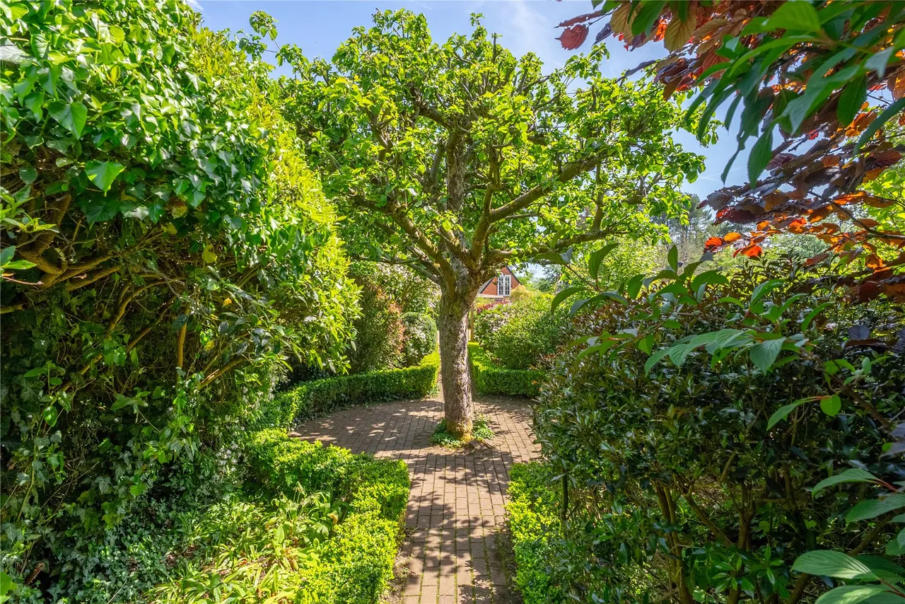 Buckland Common, Tring, photo 7