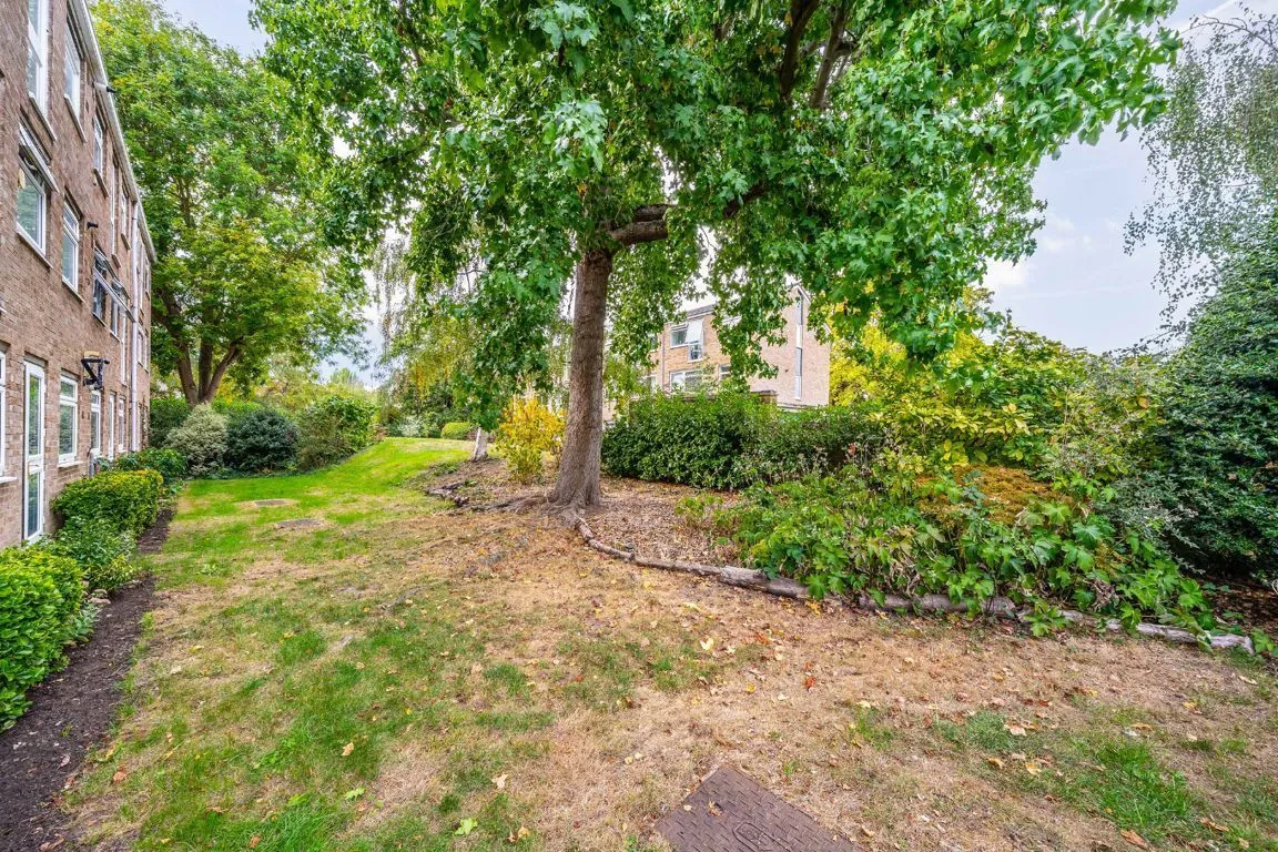 Harrowdene Gardens, TW11, photo 5