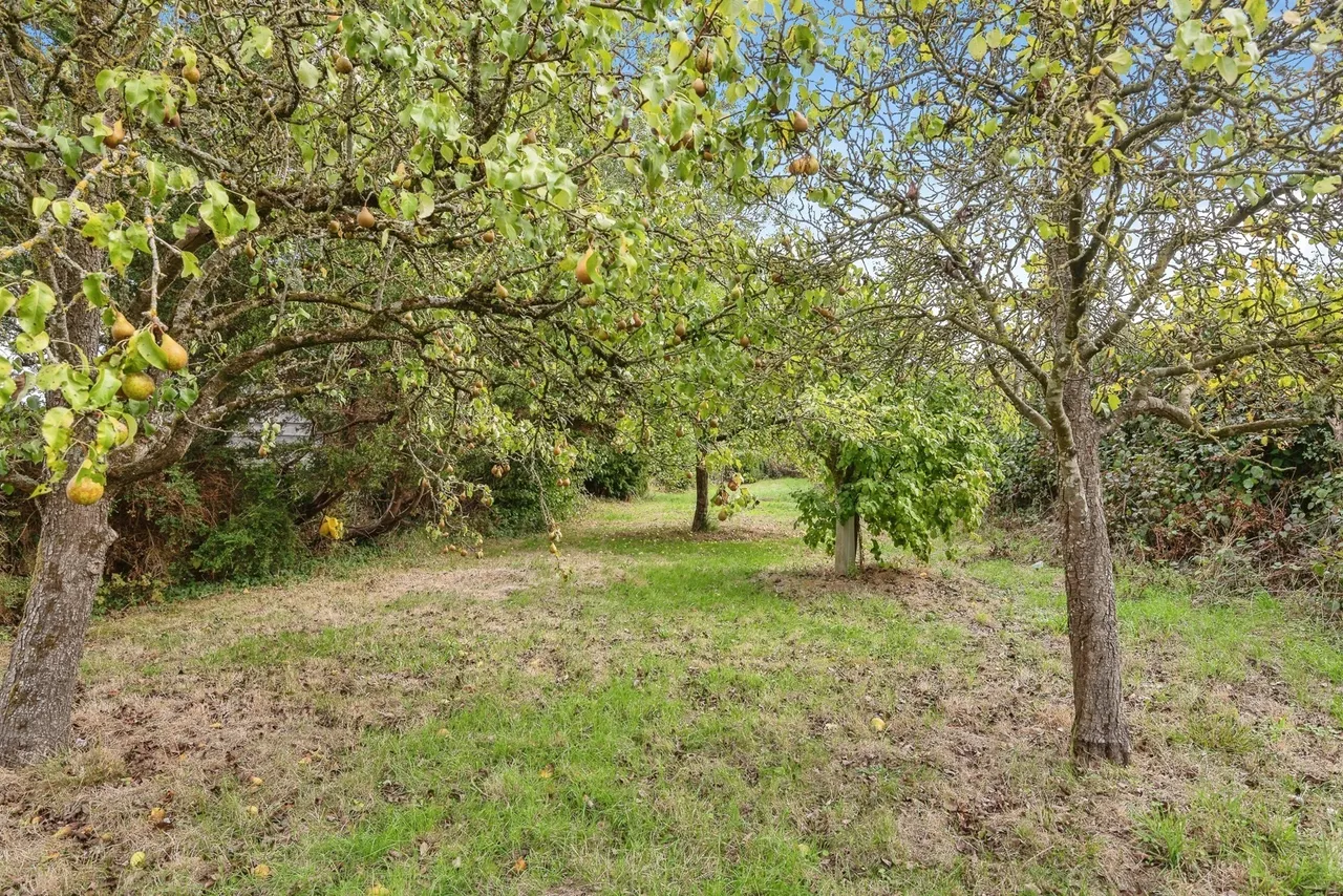 Norton Fitzwarren, Taunton, TA4, photo 7